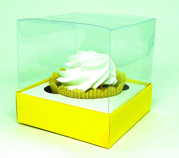 Box Transparente Liso - Image 2
