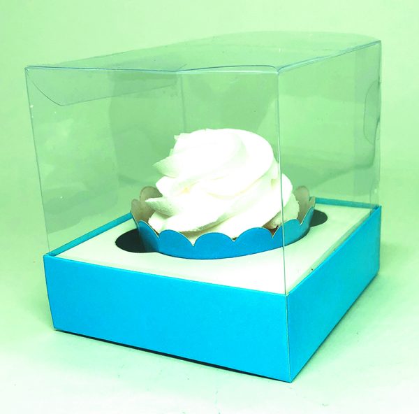 Box Transparente Liso - Image 3