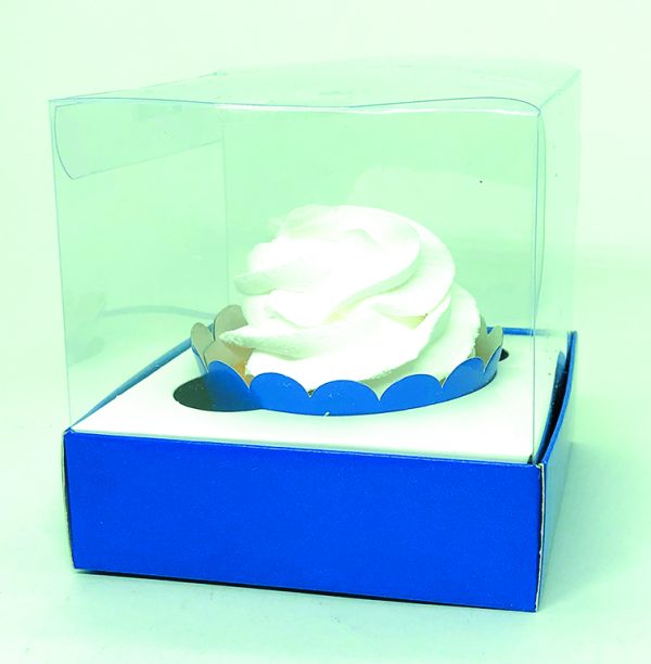 Box Transparente Liso - Image 4