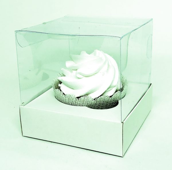 Box Transparente Liso - Image 5