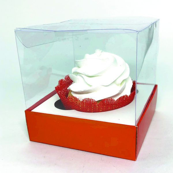 Box Transparente Liso - Image 6