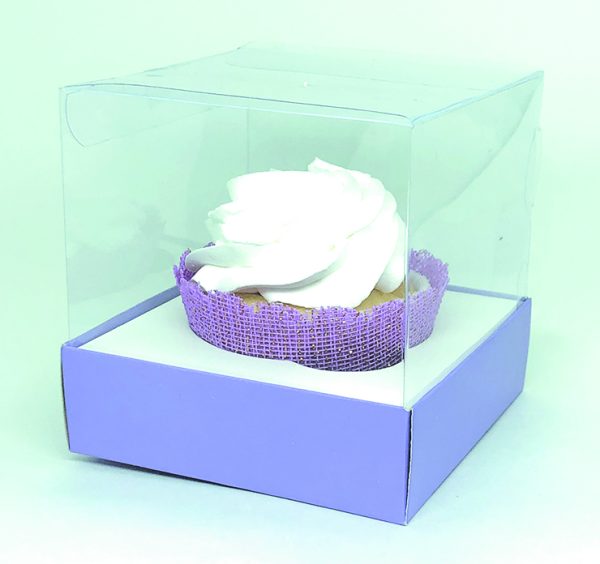 Box Transparente Liso - Image 7