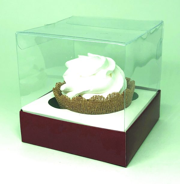 Box Transparente Liso - Image 8