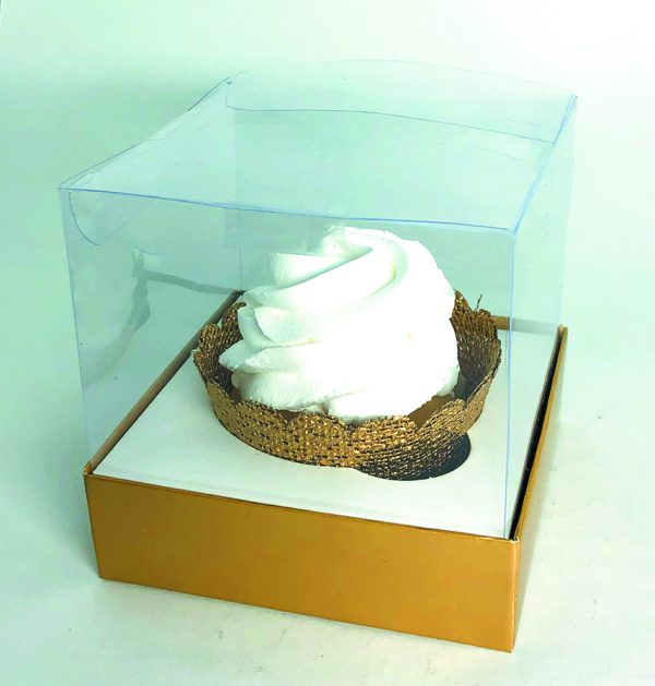 Box Transparente Liso - Image 9