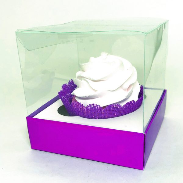 Box Transparente Liso - Image 10