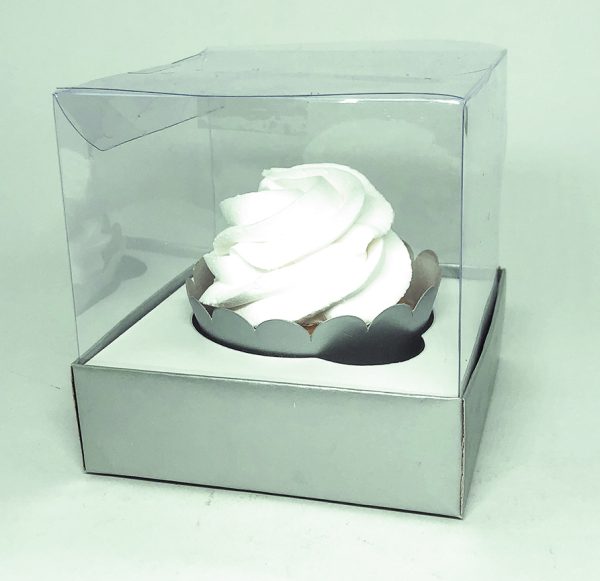 Box Transparente Liso - Image 11
