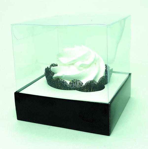 Box Transparente Liso - Image 12
