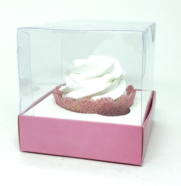 Box Transparente Liso - Image 13