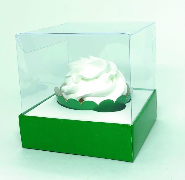 Box Transparente Liso - Image 14