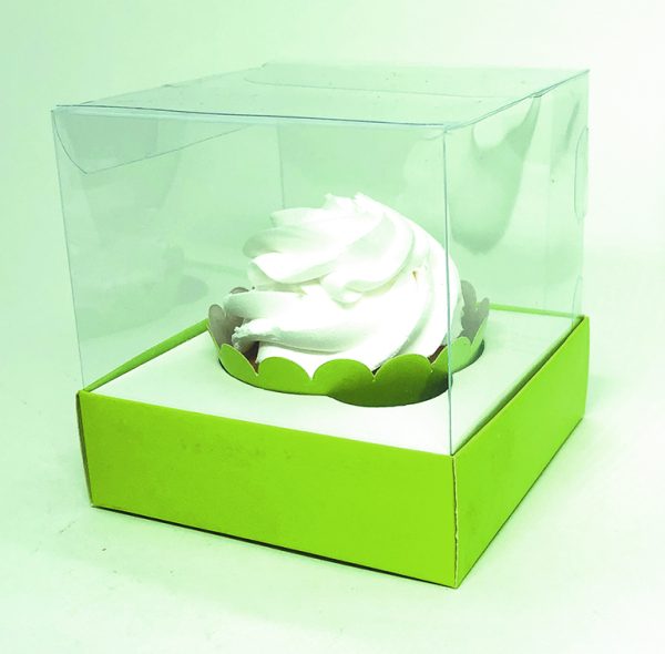 Box Transparente Liso - Image 15