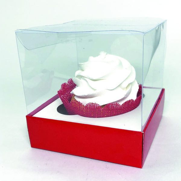 Box Transparente Liso - Image 16